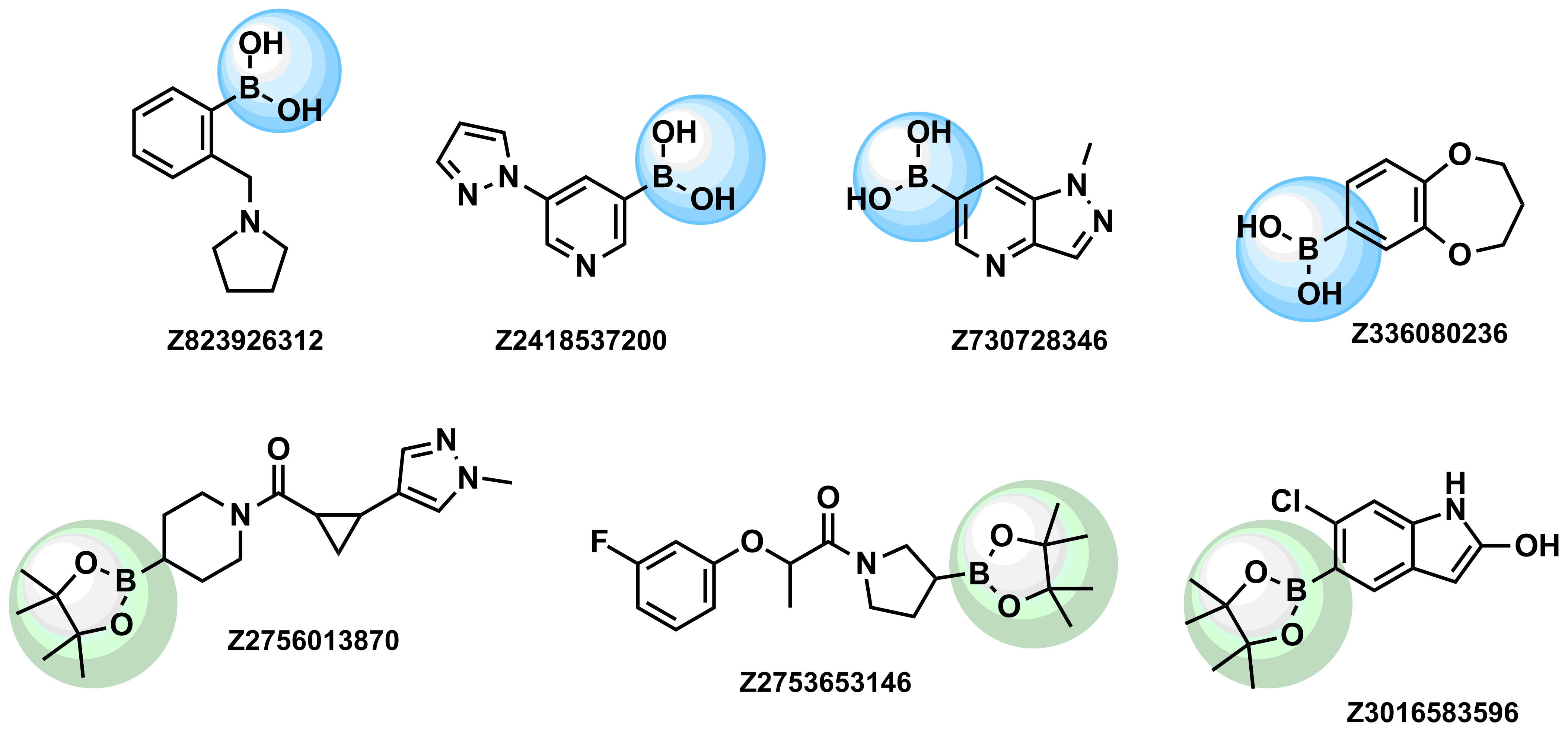 Examples of pre-plated Boronic Fragment