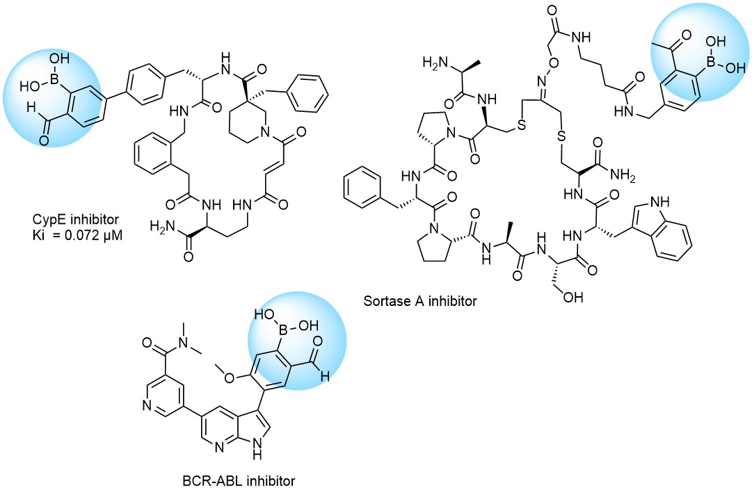 Examples of Formyl Boronates in pre-plated Covalent Screening Library