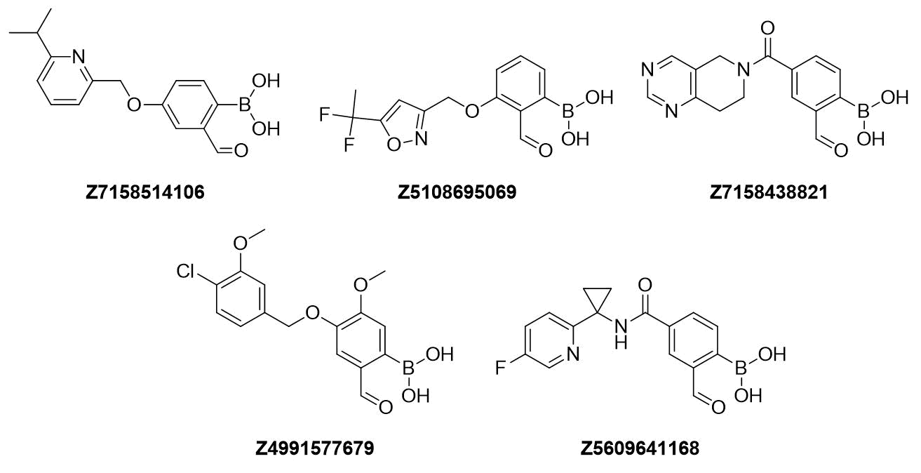 Examples of Formyl Boronates in pre-plated Covalent Screening Library