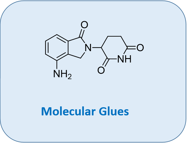 Molecular Glues