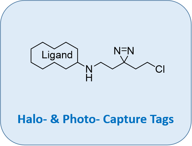 Halo- & Photo- Capture Tags