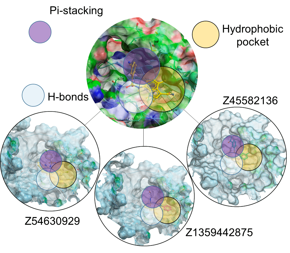 Docking results