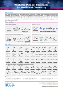 Analogues of Piperidine for Drug Design