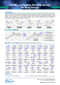 P(O)Me2-containing Building Blocks for Drug Design