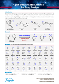 gem-Difluorinated Amines for Drug Design