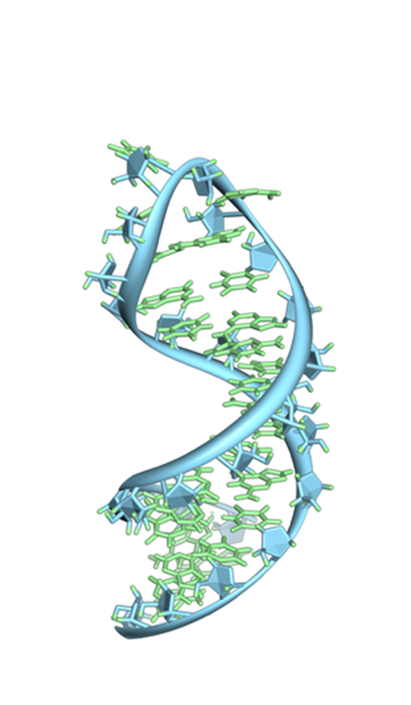 RNA Targeted Library