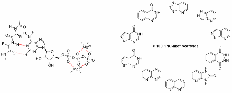 Examples of core structures and final compounds included in the Library